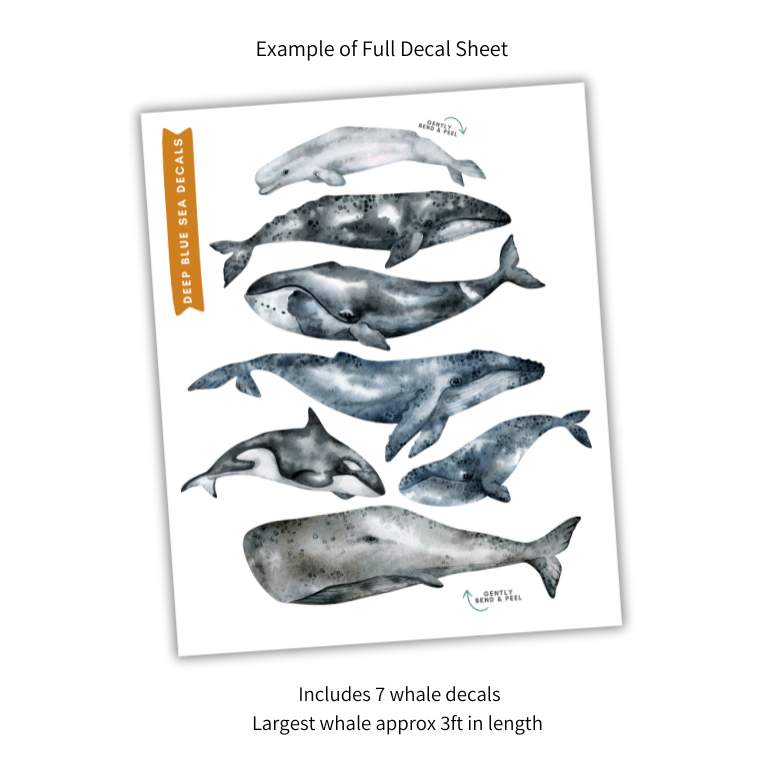 Deep Blue Whale Decals