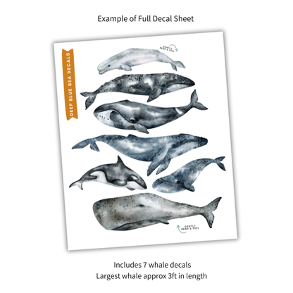 Deep Blue Whale Decals
