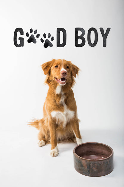 Good Boy Decals